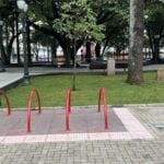 00503893