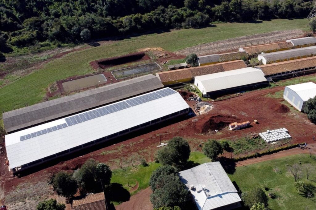 03granja_de_suinos_1