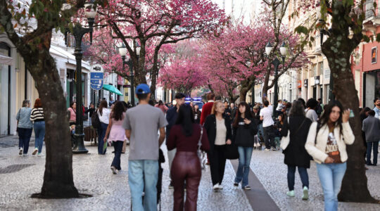 CEREJEIRAS RUA XV