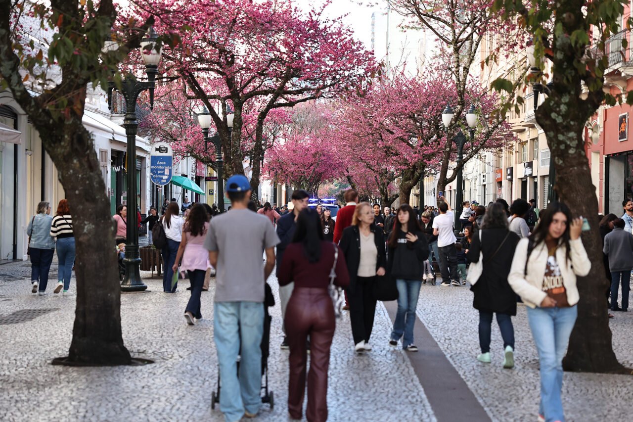 CEREJEIRAS RUA XV