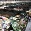 0cf mercado municipal