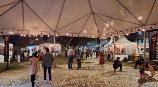 12o_festival_de_inverno_do_centro_historico_14_creditos_viaje_parana