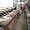 Empresa Porcelanas Schmidt