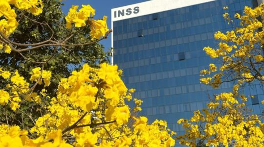 18inss