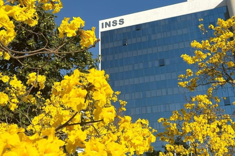 18inss