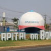 Feito no Parana Apucarana Bones