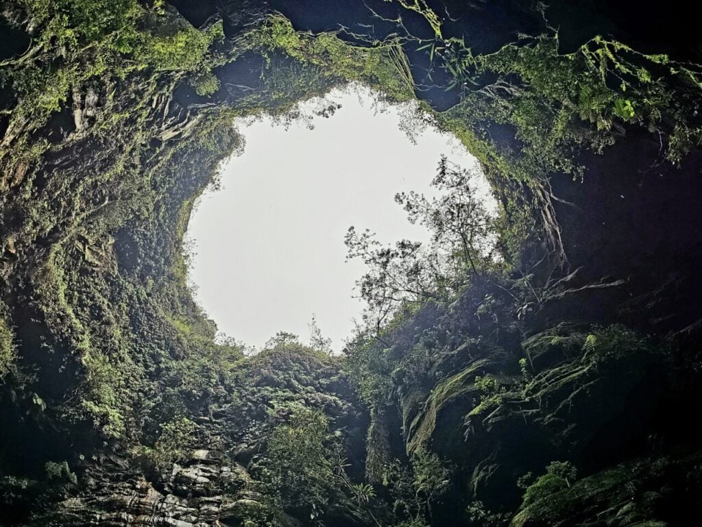 20250703_162911 (1)