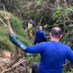 250712_voluntariado_araucaria_6_0