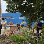 250712_voluntariado_araucaria_8_0