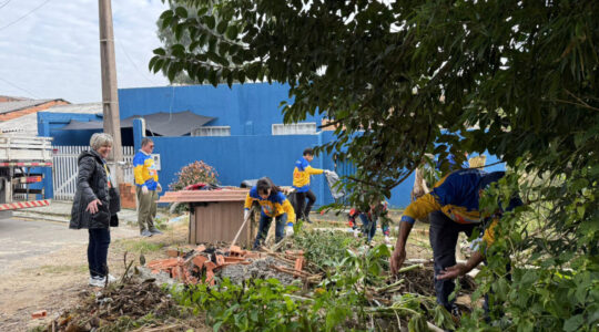 250712_voluntariado_araucaria_8_0