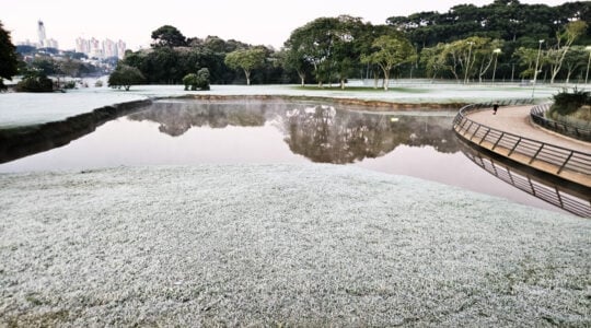 3f1