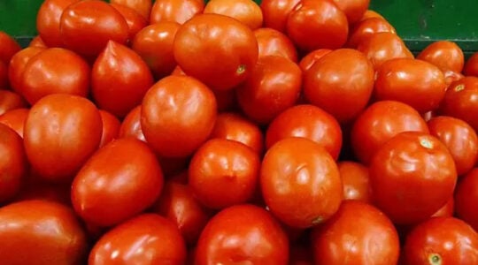 6f1