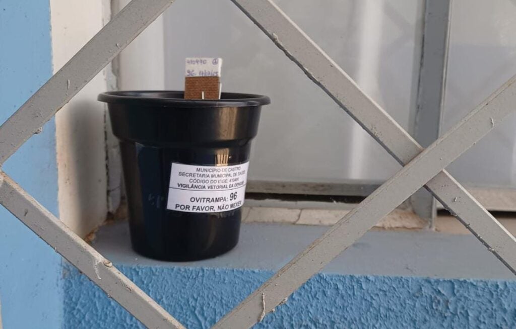 Armadilha dengue (1)