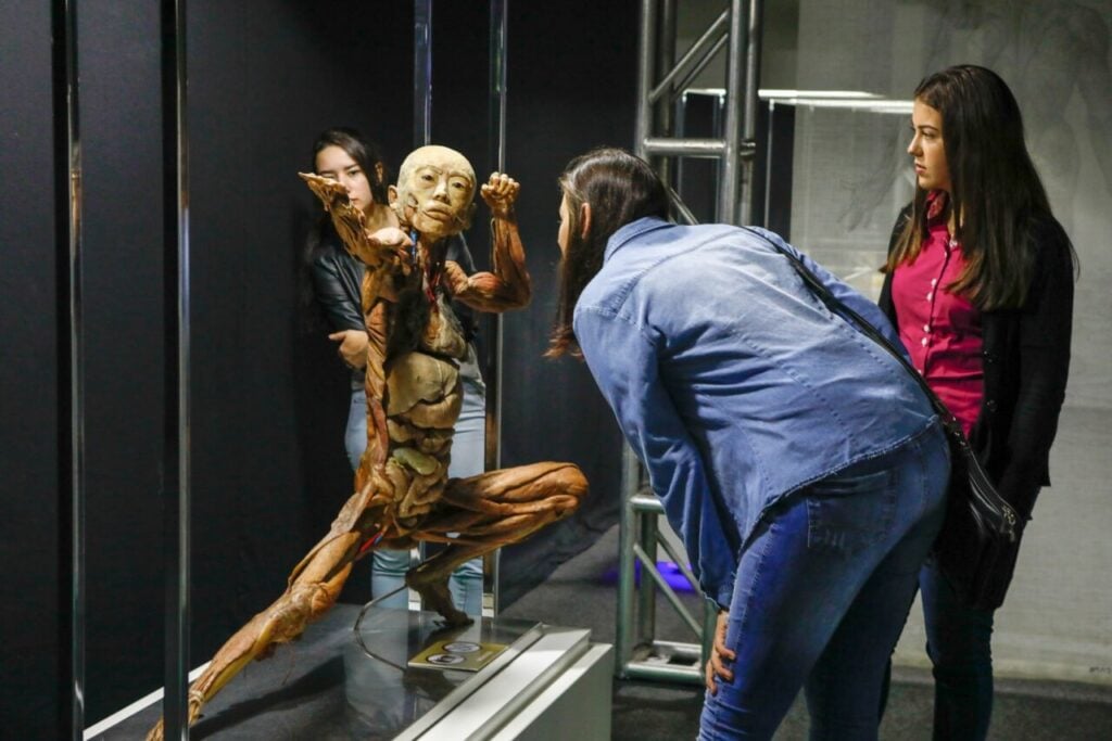 CorpoHumano-154