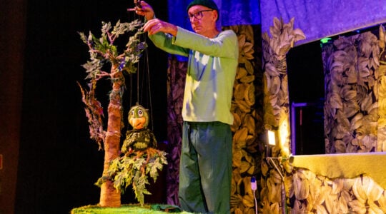 Espetáculo O Coelho e a Tartaruga da Cia Miller na 6 Mostra Parana de Teatro de Bonecos_ Fotos Aldo Boaretto