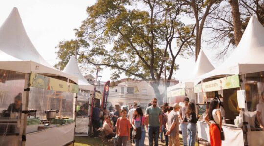 Festival-de-Inverno-do-Centro-Historico–1-