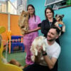 Home Pet Hotel