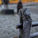 IMG_1168