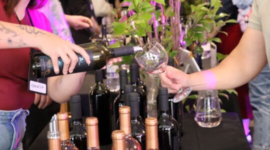 Feira de vinhos na Família Madalosso ( foto Beatriz Camargo.)