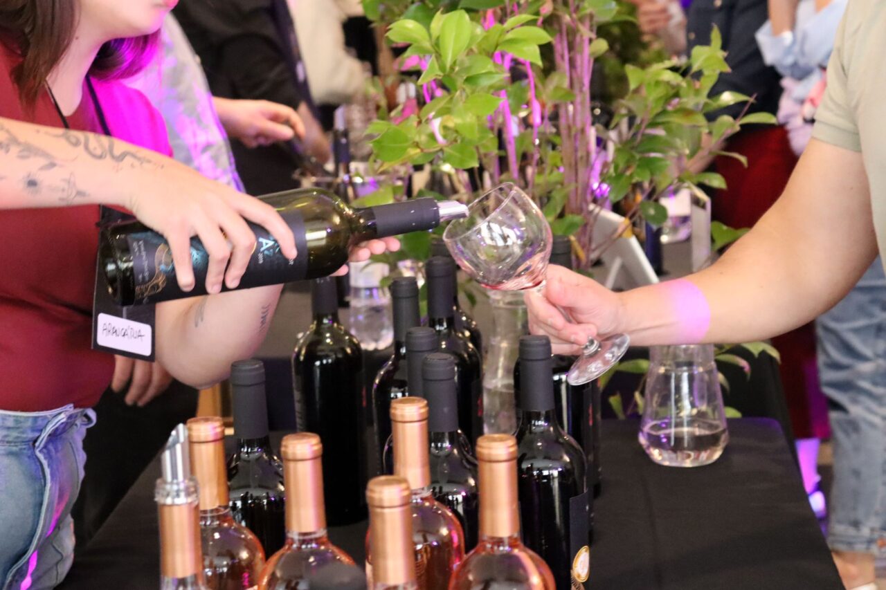 Feira de vinhos na Família Madalosso ( foto Beatriz Camargo.)