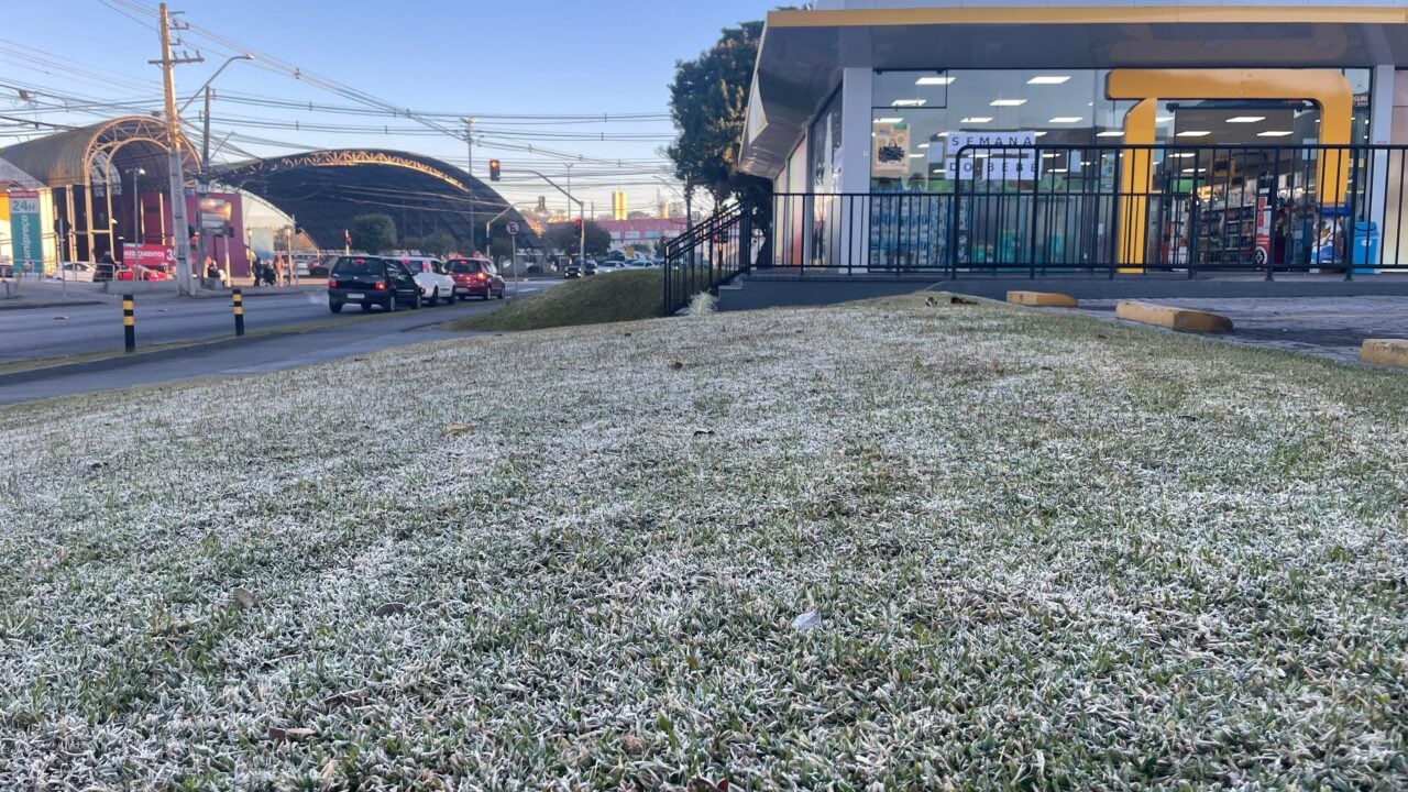 Imagem do WhatsApp de 2025-07-31 à(s) 07.51.27_41ed71cb