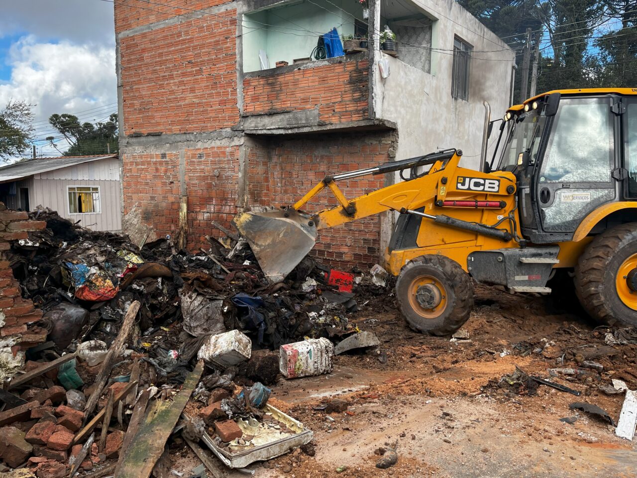 Limpeza casa – caes resgatados 6
