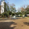Praca-da-Bandeira-Viva-o-Centro-Julino-Londrina-VH
