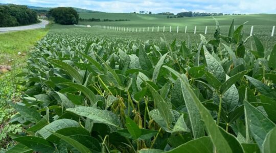 agricultura