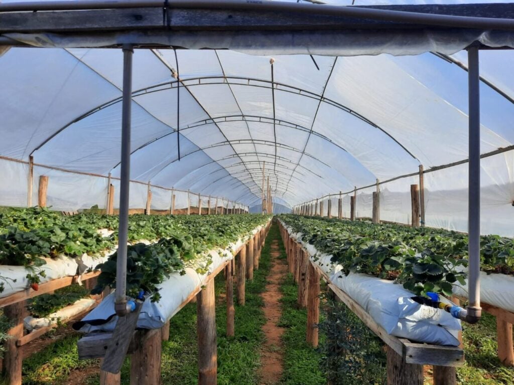 agricultura_familiar2