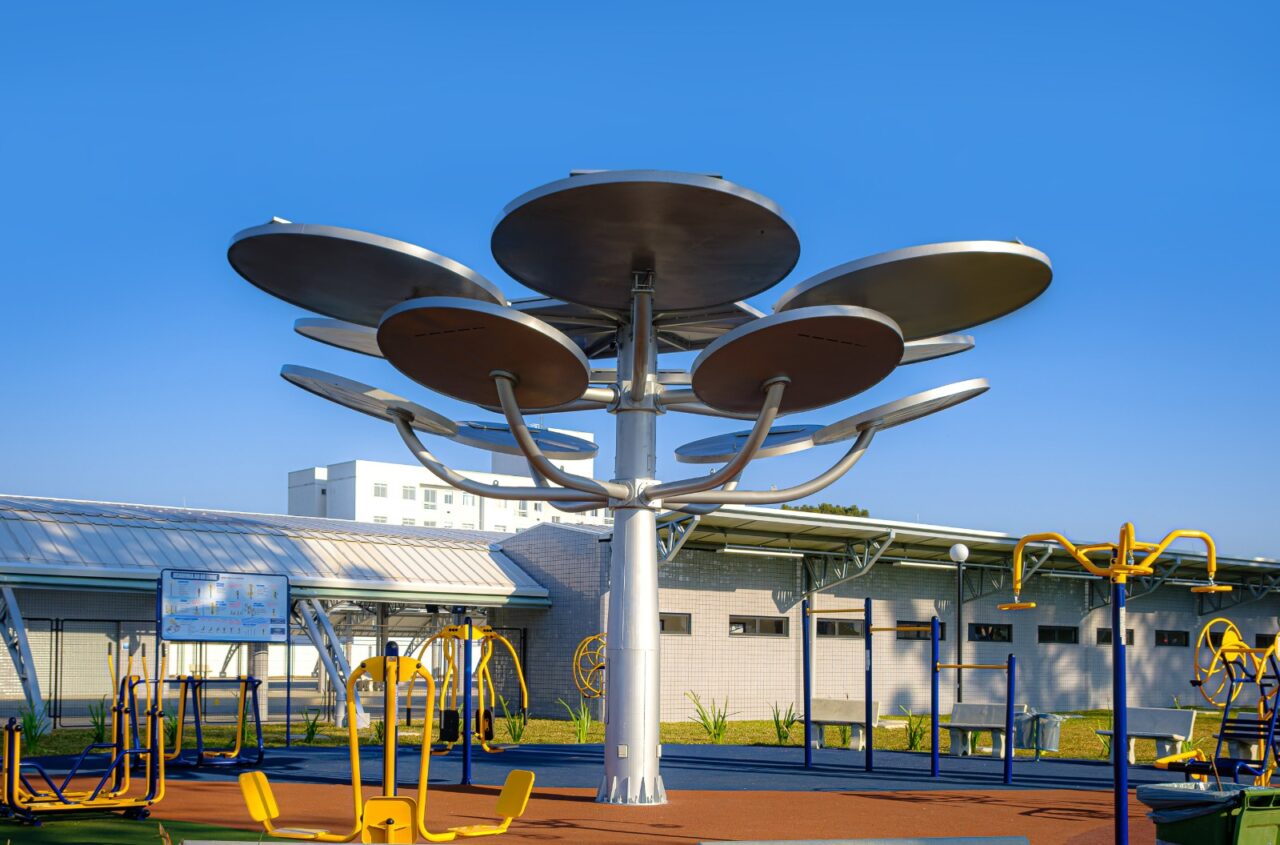 araucaria solar