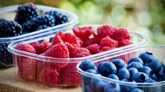 frutas vermelhas separadas em potes plasticos transparentes.