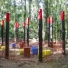 bosque brinquedos