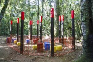 bosque brinquedos