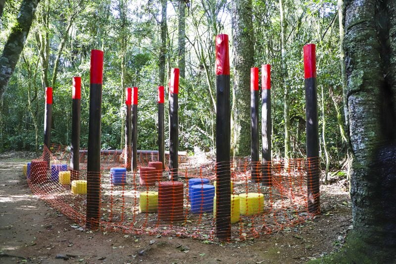 bosque brinquedos