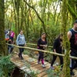 caminhada_faxina1_redimenfoto_edison_renato-43
