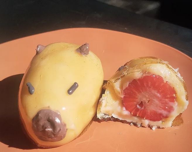 capivara