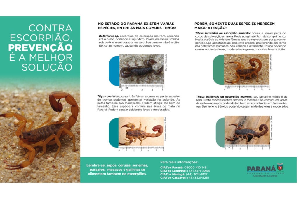 card_escorpiao