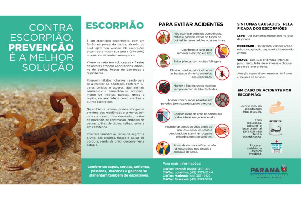 card_escorpiao1