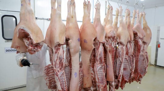 carne de porco