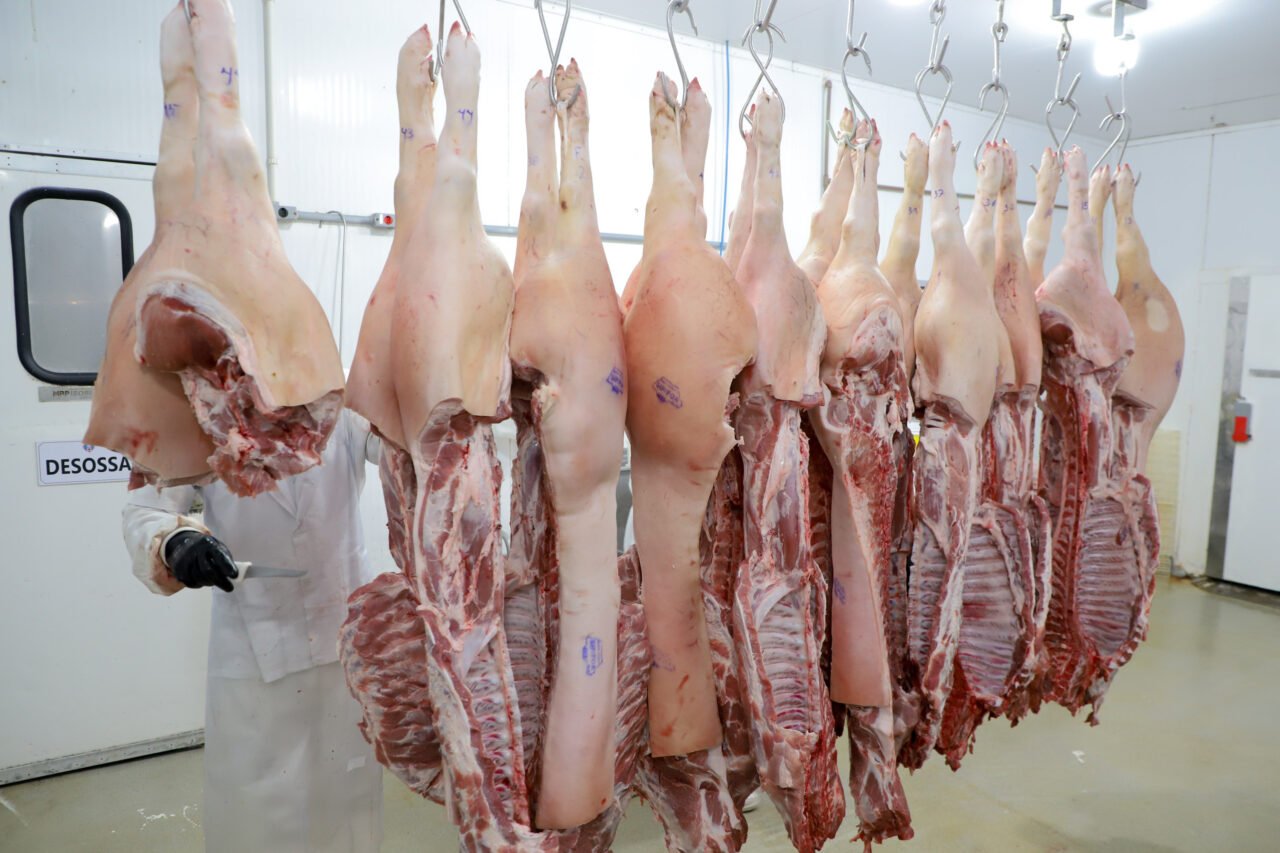 carne de porco