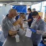castrapet_01112024_foto-_patryck_madeira-54_0