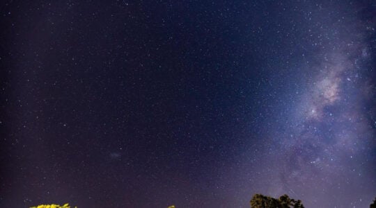 ceu estrelas
