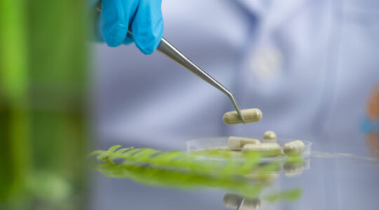 Supplementary capsules from natural extracts