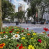 curitiba