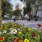 curitiba