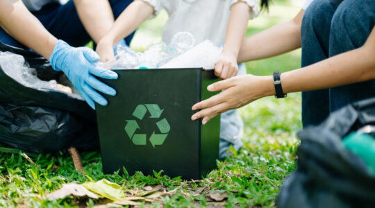 Woman’s hand picks up plastic waste for cleaning into recycle bag for cleaningat the park. Clearing, pollution, ecology