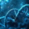 Imagem ilustrativa célula dna humano