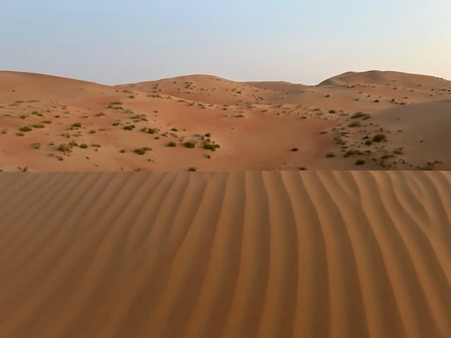 dunas-liwa