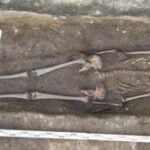 esqueleto cavaleiro medieval