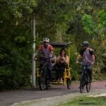 experiencia_estorias_e_flores_creditos_divulgacao